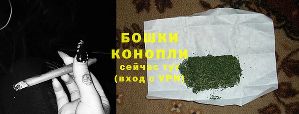 spice Нягань
