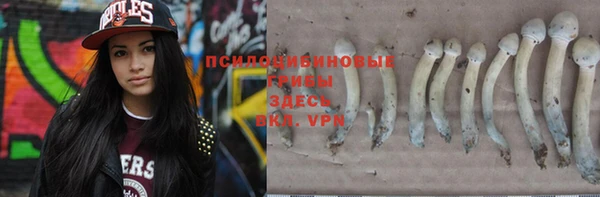 spice Нягань