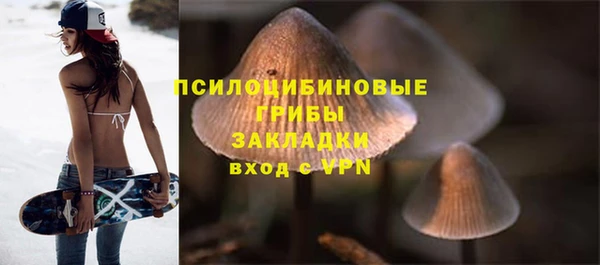 ПСИЛОЦИБИНОВЫЕ ГРИБЫ Няндома