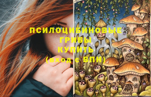 СК Верхний Тагил