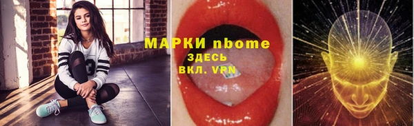 ПСИЛОЦИБИНОВЫЕ ГРИБЫ Няндома
