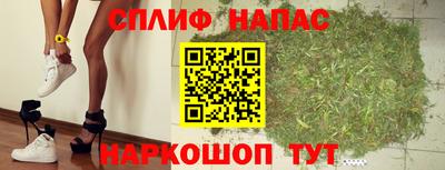 гидра Азнакаево