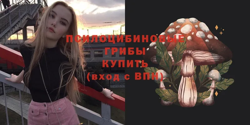 наркотики  МЕГА как зайти  Галлюциногенные грибы MAGIC MUSHROOMS  Алушта 