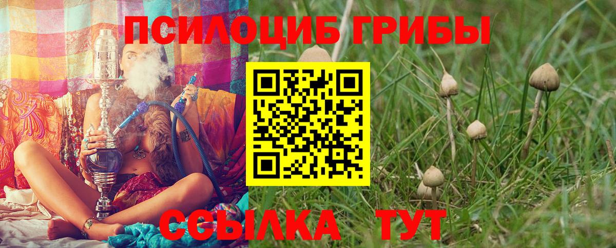 Псилоцибиновые грибы мицелий  Галлюциногенные грибы Psilocybe  Алушта 